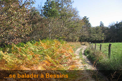 se balader à Bessins